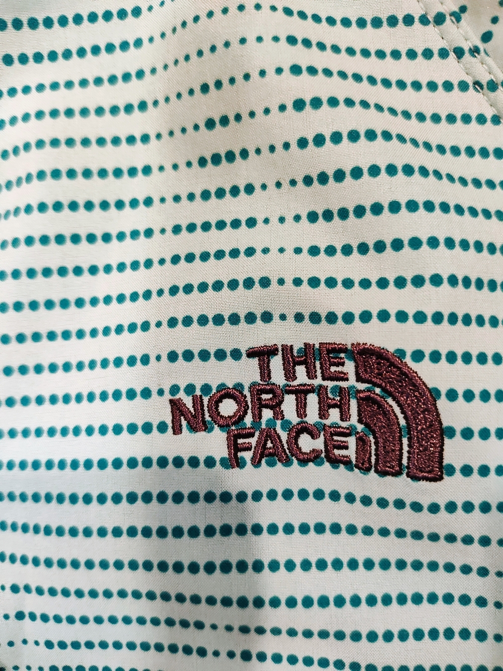 The North Face Women's Teal Striped Hooded Zip Jacket - Picture 4 of 5